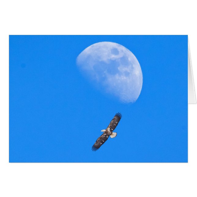 Flying Past the Moon Cards (Front Horizontal)