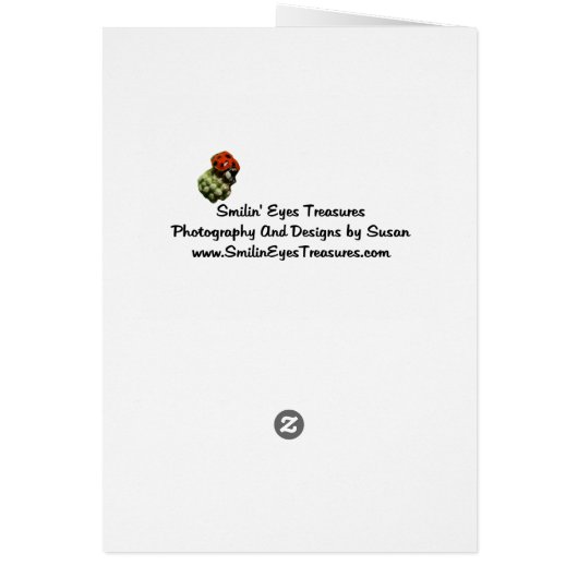 Flying Pegasus Fantasy Horse Art Photo Card (Back)