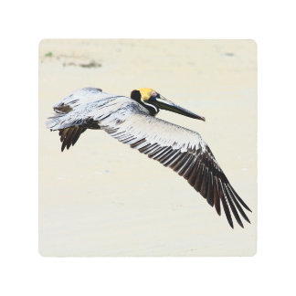 Flying Pelican Print on Metal Wall Art