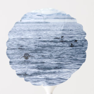 Flying penguin balloon
