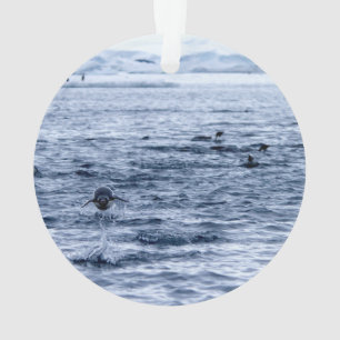 Flying penguin ornament