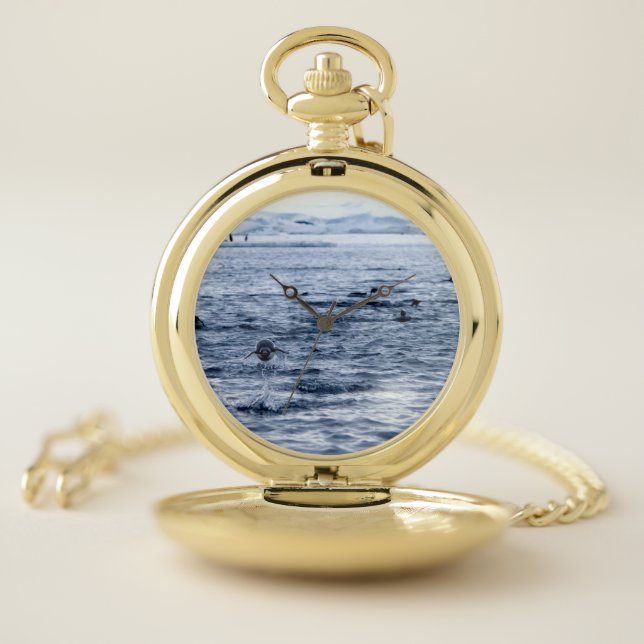 Flying penguin pocket watch (Inside)