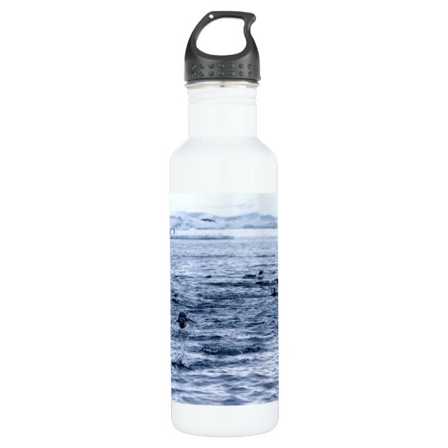 Flying penguin stainless steel water bottle (Front)