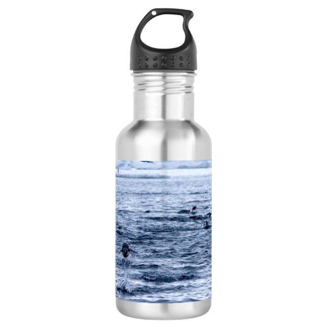 Flying penguin stainless steel water bottle (Front)