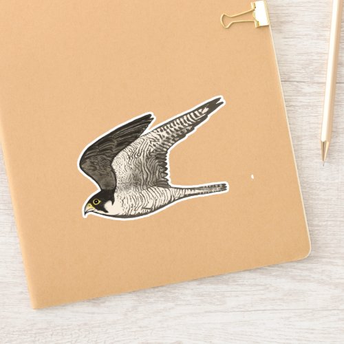 Flying Peregrine Falcon Colored Pencil Art Sticker