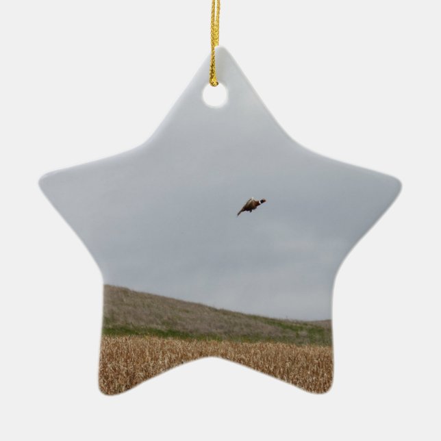 flying pheasant ceramic ornament (Front)