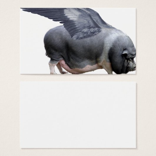 flying pig (Front & Back)