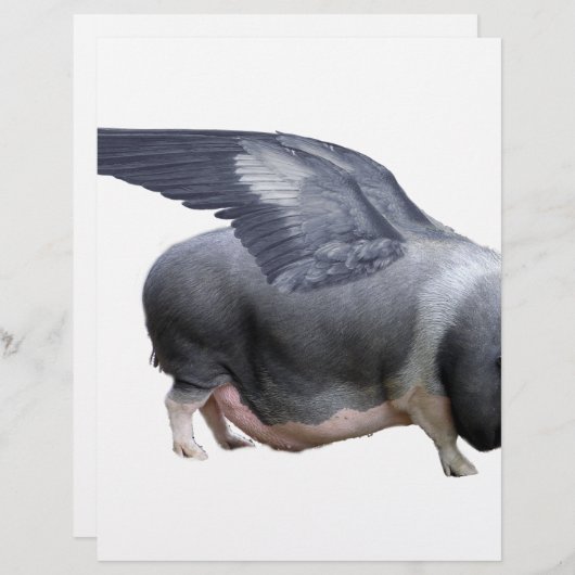 flying pig (Front/Back)