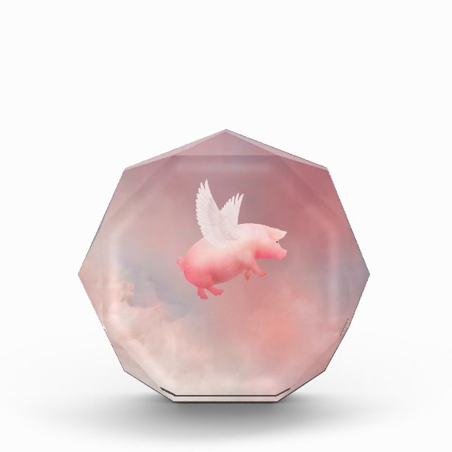 Flying Pig Acrylic Award (Front)