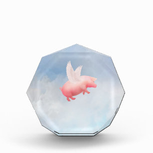 Flying Pig Acrylic Award