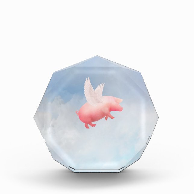 Flying Pig Acrylic Award (Front)
