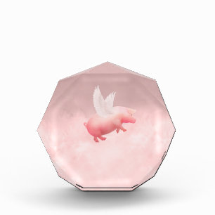 Flying Pig Acrylic Award