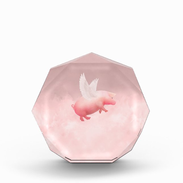 Flying Pig Acrylic Award (Front)