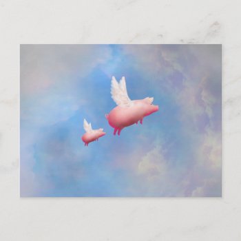 Flying Pig And Piglet Postcards by pigswing at Zazzle