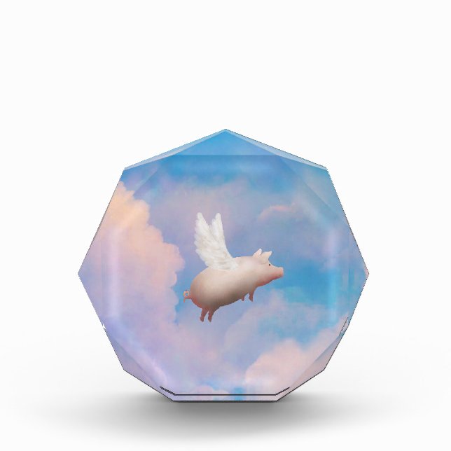 flying pig award (Front)