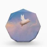 flying pig award<br><div class="desc">like us on facebook: www.facebook.com/pigfeathers</div>