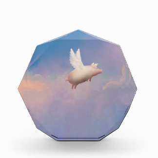 flying pig award