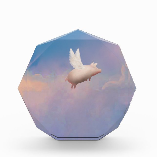 flying pig award (Front)