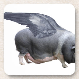 flying pig beverage coaster