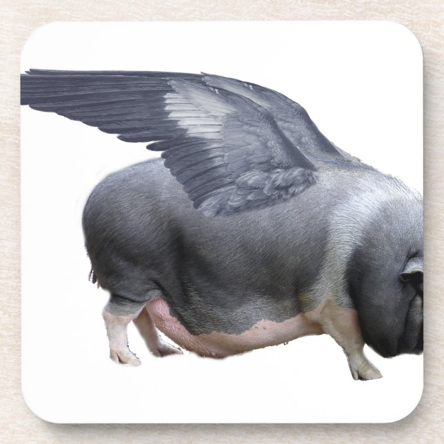 flying pig beverage coaster (Front)