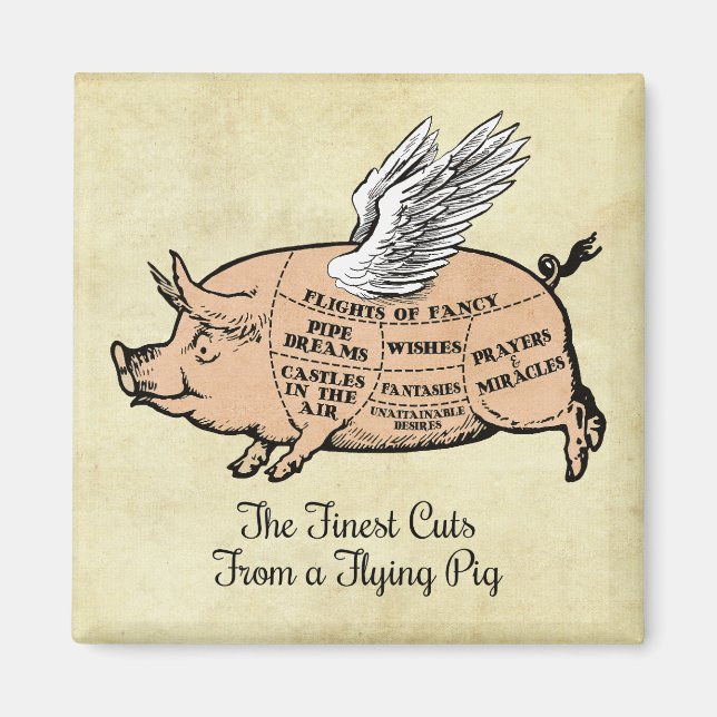Flying Pig Cuts Magnet (Front)