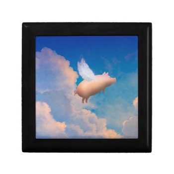 Flying Pig Gift Box by pigswingproductions at Zazzle
