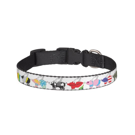 flying pig pet collar