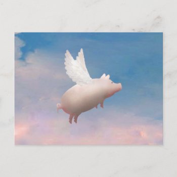 Flying Pig Postcard by pigswing at Zazzle