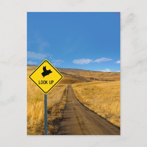 Flying Pig Road Sign Postcard