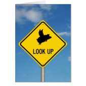 Flying Pig Sign (Front)