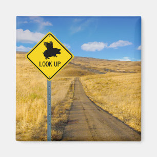 Flying Pig Sign Magnet