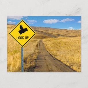 Flying Pig Sign Postcard