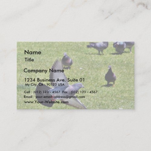 Flying Pigeon Business Cards