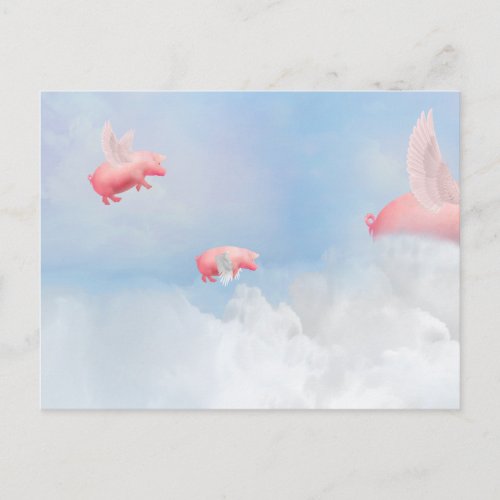 Flying Pigs Postcard