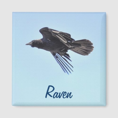 Flying Raven in Blue Sky HDR Photo Design Magnet