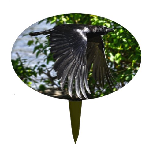 Flying Raven in Sunlight Wildlife Photo Cake Topper