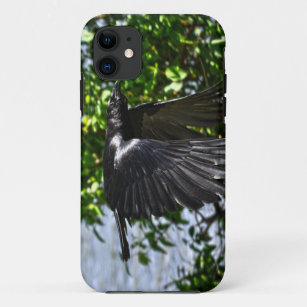 Flying Raven in Sunlight Wildlife Photo iPhone 11 Case