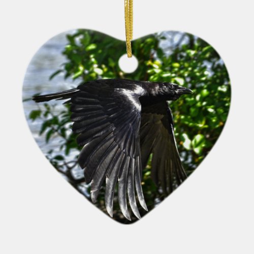 Flying Raven in Sunlight Wildlife Photo Ceramic Ornament