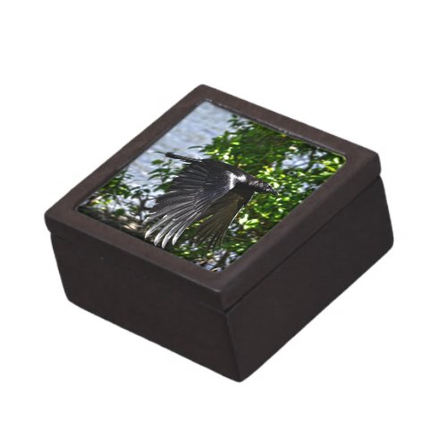 Flying Raven in Sunlight Wildlife Photo Jewelry Box