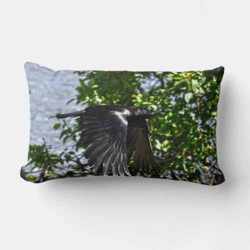 Flying Raven in Sunlight Wildlife Photo Lumbar Pillow