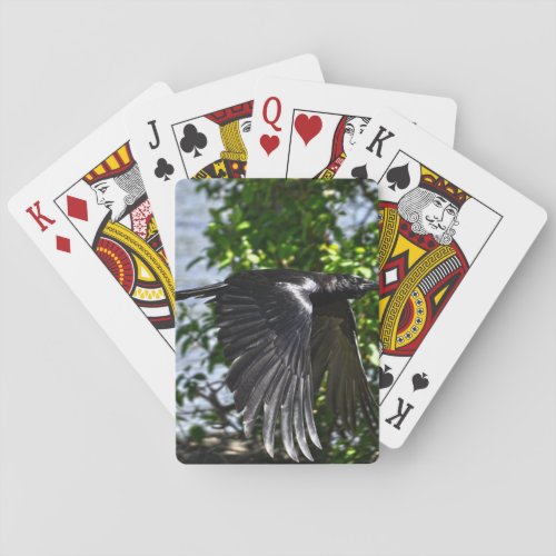 Flying Raven in Sunlight Wildlife Photo Playing Cards