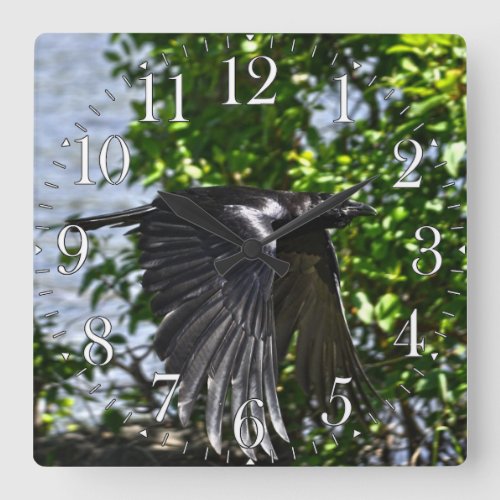 Flying Raven in Sunlight Wildlife Photo Square Wall Clock