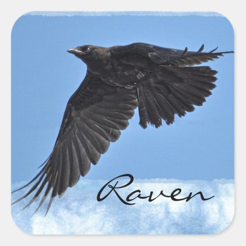 Flying Raven Modern Art in Blue Square Sticker