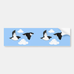 Flying Razorbills Bumper Sticker