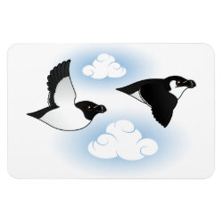 Flying Razorbills 4