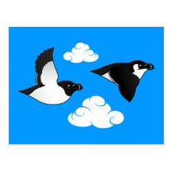 Flying Razorbills Postcard