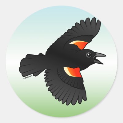 Flying Red-winged Blackbird Classic Round Sticker