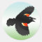 Flying Red-winged Blackbird Classic Round Sticker