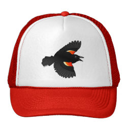 Cute Red-winged Blackbird Products by Birdorable