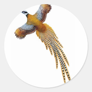 Flying Reeves Pheasant Sticker